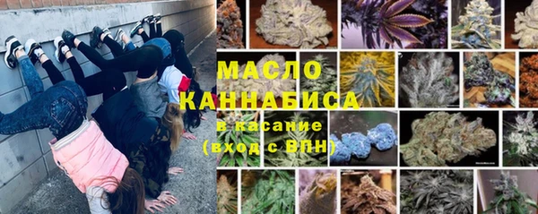 гидропоника Алзамай