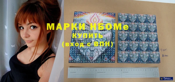 индика Дедовск