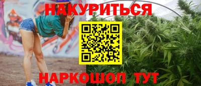 сатива Краснознаменск