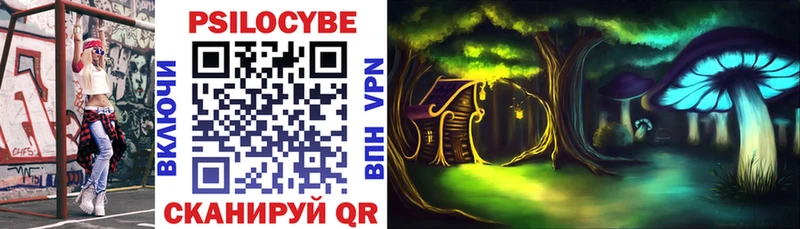 Псилоцибиновые грибы Psilocybe  что такое   Гусь-Хрустальный 