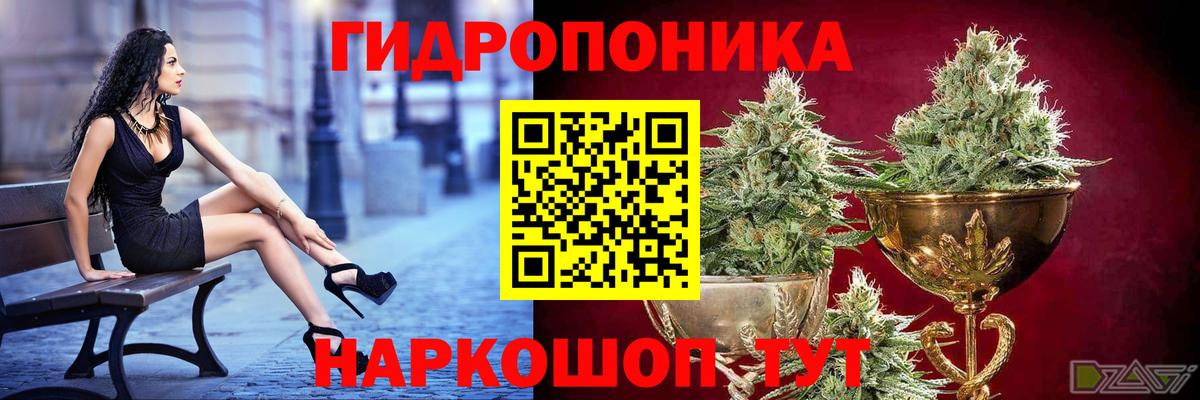 Каннабис индика  Бошки марихуана SATIVA & INDICA  Шишки марихуана THC 21%  Вход с VPN  Гусь-Хрустальный 